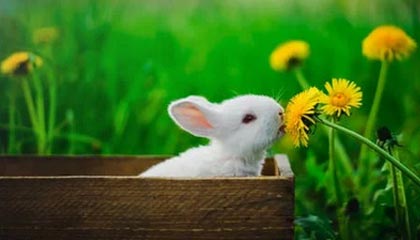 足球篮球资讯-【中超】胡靖航梅开二度埃弗拉破门 卓尔3比0黄海